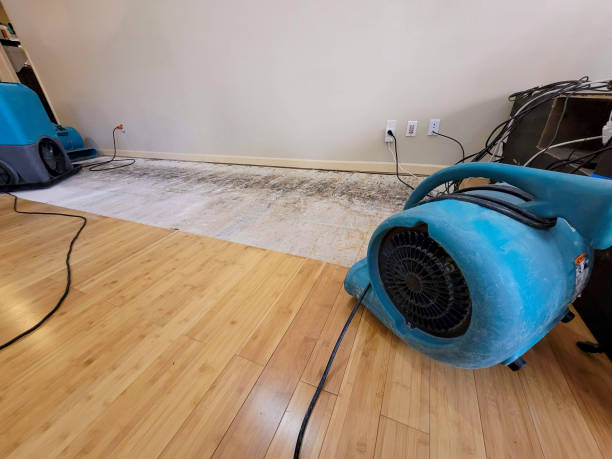 Professional Flood Damage Cleanup technician working in Windsor, IL